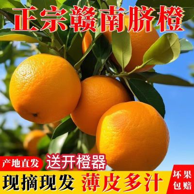 【果园现采】江西赣南脐橙新鲜橙子10斤整箱当季水果冰糖橙果冻橙