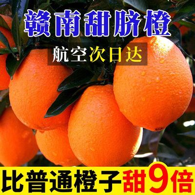 【10斤特价】正宗赣南脐橙新鲜橙子江西甜橙孕妇纽荷尔水果半斤