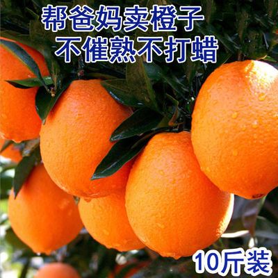 正宗重庆奉节脐橙现摘现发甜橙手剥橙子新鲜超甜当季水果薄皮赣南