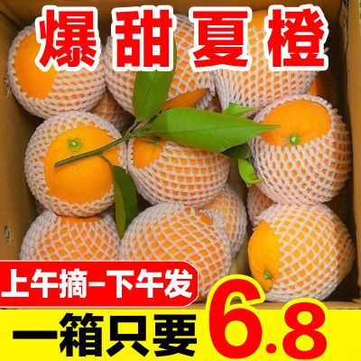 【超甜】新鲜夏橙现摘橙子当季水果手剥甜橙脐橙5/10斤整箱批发价