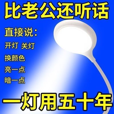 智能语音小夜灯抖音同款说话开关usb卧室照明灯床头灯插电声控灯