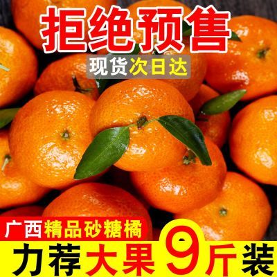 【今日补帖】广西金秋沙糖桔无籽应季新鲜水果薄皮桔子砂糖橘10斤