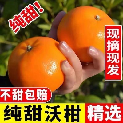 【超甜】云南正宗高山沃柑当季新鲜水果橘子大果柑橘薄皮整箱包邮