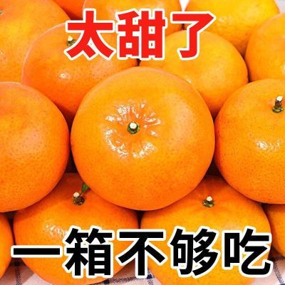 【现摘爆甜】新鲜沃柑正宗云南桔橘子超甜应季新鲜水果非丑橘10斤