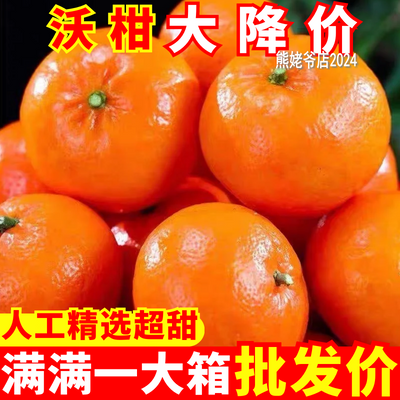 【甜爆了】正宗沃柑超甜大果新鲜水果整箱非丑橘桔子粑粑柑