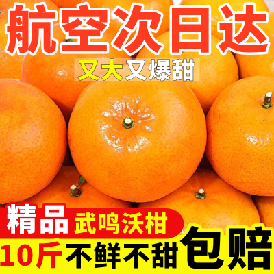 【现摘秒发】正宗广西武鸣沃柑桔橘子超甜应季新鲜水果非丑橘10斤