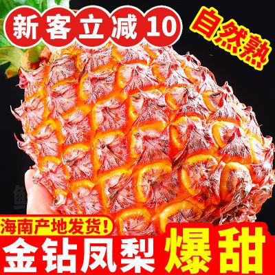 【爆甜】海南金钻凤梨新鲜水果当季正宗特级菠萝手撕10斤大果整箱