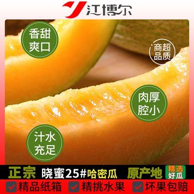 【晓蜜25号】 哈密瓜正宗薄皮时令蜜瓜新鲜自然成熟产地 精选水果
