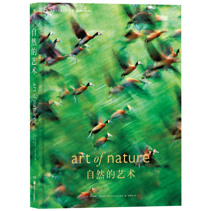 自然的艺术 自然摄影 动物摄影 艺术摄影书籍后浪官方正版包邮