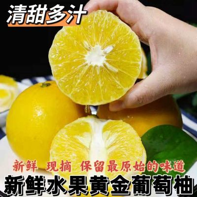 新鲜水果台湾黄金葡萄柚爆汁纯 甜 薄皮柚子新鲜孕妇当季水果批发