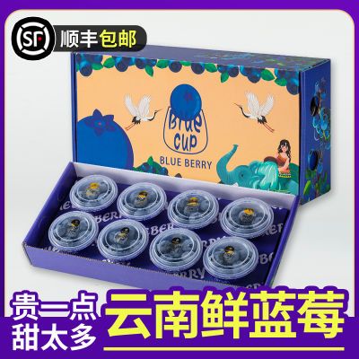 【顺丰包邮】云南新鲜采摘高原蓝莓当季新鲜水果小蓝杯60g8杯礼盒