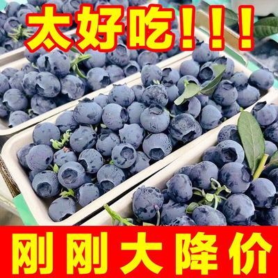 【特低价】云南新鲜蓝莓花香蓝莓孕妇水果当季蓝莓整箱批发鲜果
