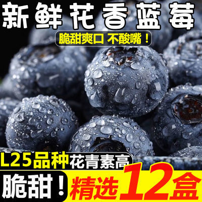【甜爆了】云南花香蓝莓新鲜脆甜应季水果现摘大果批发鲜果一整箱