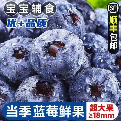 【大果】正宗新鲜丹东蓝莓宝宝辅食蓝莓鲜果2/4/8盒整箱批发包邮