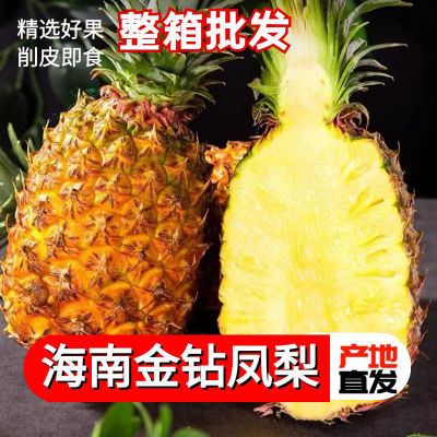 【海南直发】海南凤梨新鲜水果多汁爆甜无眼菠萝现摘现发包邮整箱