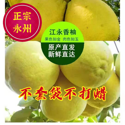 <正宗>永州江永香柚口味纯甜不酸多汁农家自产包甜柚子沙田柚包邮
