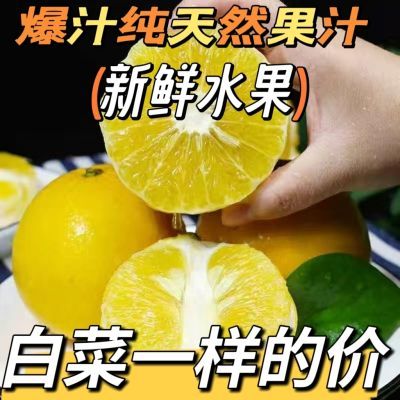 热卖中新鲜水果台湾黄金葡萄柚爆汁纯甜薄皮柚子批发孕妇水果包邮