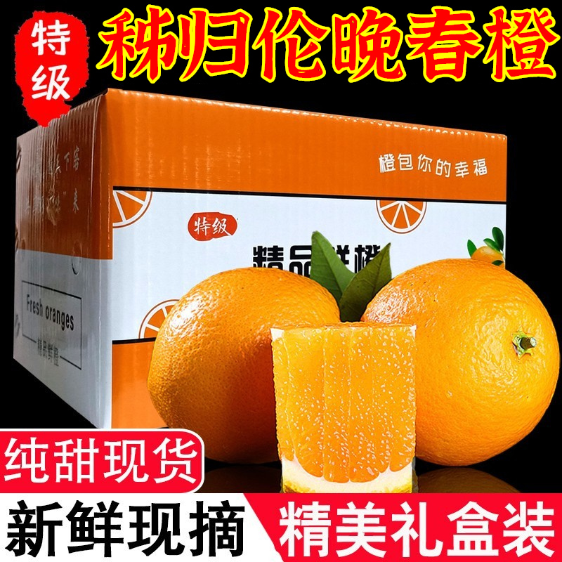 【精选彩箱伦晚春橙】秭归脐橙10斤大果新鲜橙子当季水果5斤