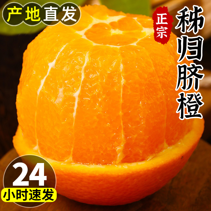 正宗秭归脐橙9斤湖北九月红果冻橙当季新鲜橙子秋季水果甜橙大果
