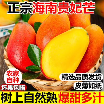新鲜海南贵妃芒芒果10斤水果当季整箱树上熟红金玉青煌大台辣椒