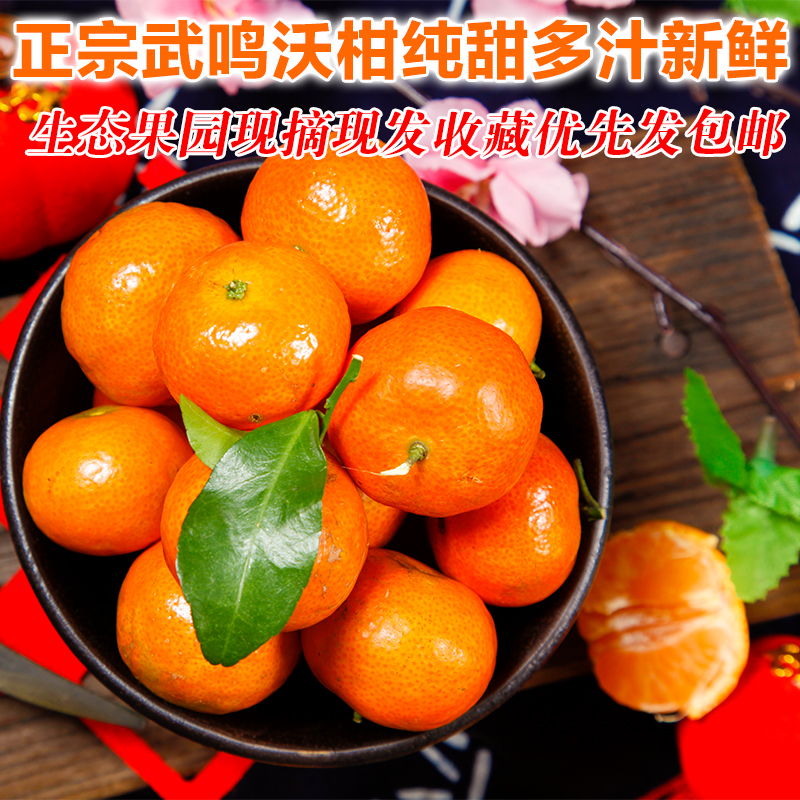 助农广西武鸣沃柑特级纯甜桔子大果新鲜水果砂糖橘当季包邮 10斤5