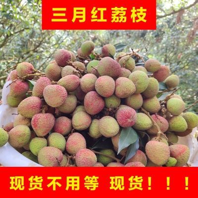 【现货】高州荔枝现摘酸甜三月红广东高州特产夏天孕妇水果荔枝