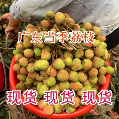 现货 现摘广东荔枝2024秒发新鲜荔枝三月红酸甜新鲜当季水果