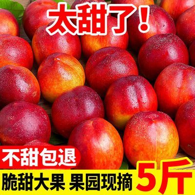 【爆甜】黄心大油桃新鲜水果1/3/5斤应季黄肉油桃水蜜桃孕妇整箱