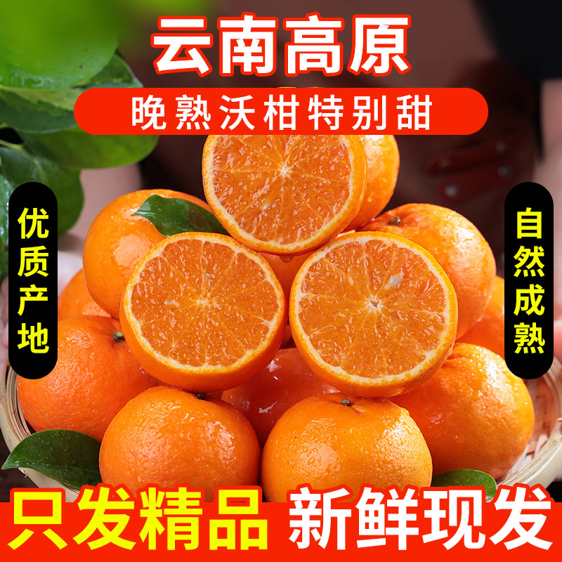正宗云南高原晚熟沃柑10斤水果新鲜当季整箱包邮精选柑橘桔子