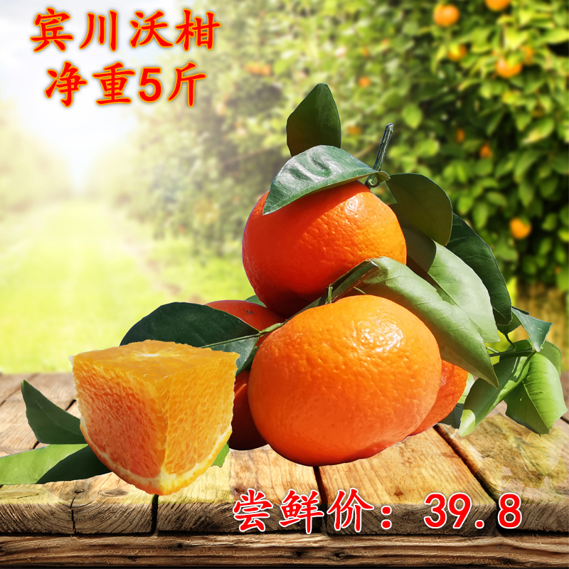 云南大理新鲜沃柑当季水果橘子孕妇水果整箱5斤包邮水润多汁甘甜