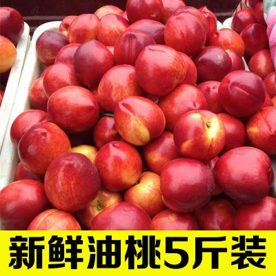 【便宜了】新鲜黄肉油桃现摘新鲜水果桃子黄心脆甜5/3/1斤当季