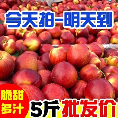 【亐本冲量】黄心油桃新鲜当季水果桃子孕妇水果酸甜脆爽整箱批发