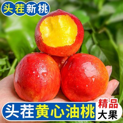 【头茬】黄心油桃应季新鲜应季水果一整箱脆甜孕妇桃子大果整箱10