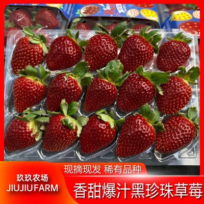 【稀有】黑草莓600g/900g香甜爆汁真红美玲新鲜水果整箱