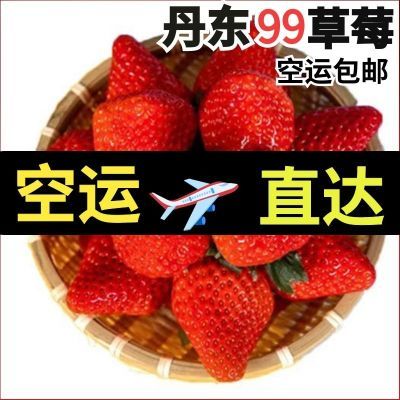 丹东99牛奶草莓新鲜3斤奶油红颜九九大草莓水果现摘半斤批发价