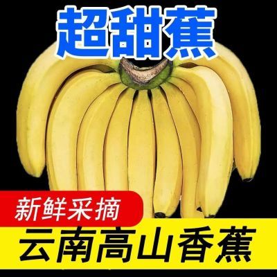 【超低价】云南高山大香蕉香甜当季新鲜水果整箱批发非小米蕉芭蕉