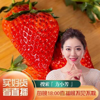 【小芳推荐】正宗丹东99草莓现摘2.8斤东港九九红颜牛奶草莓整箱