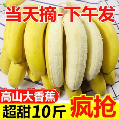 天宝香蕉高山大香蕉当季新鲜水果孕妇现摘自然熟甜蕉青蕉批发整箱