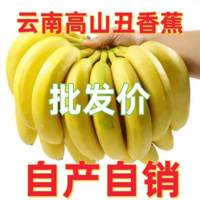 云南香蕉高山批发新鲜水果纯天然应季薄皮整箱当季正宗特价包邮