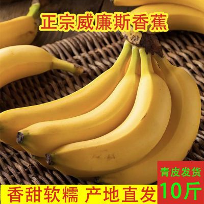【10斤净重9斤】云南威廉斯香蕉当季新鲜水果绿皮香蕉自行催熟