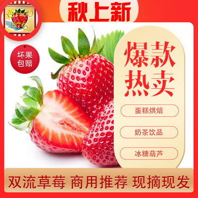 【闪电发货】新鲜云南夏季草莓烘焙整箱冰糖葫芦现摘现发包邮商用