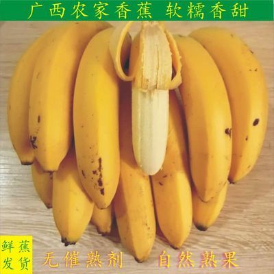 广西新鲜香蕉 新鲜薄皮banana 新鲜水果 热带水果 鲜蕉发货