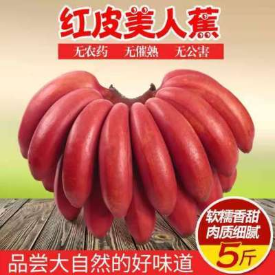 红皮香蕉广西糯甜蕉现摘自然熟当季新鲜水果包邮5斤3斤1斤非米蕉