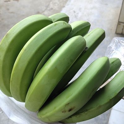 云南高山香蕉孕妇水果banana当季新鲜现摘无催熟自然熟非小米蕉