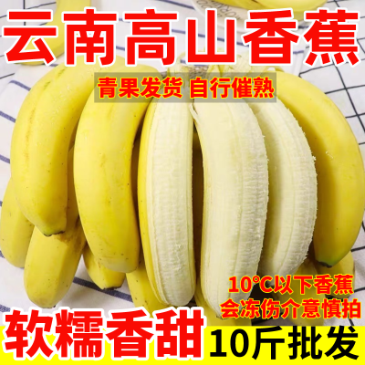 【新客立减】云南正宗薄皮香蕉高山绿皮香蕉应季孕妇水果新鲜水果