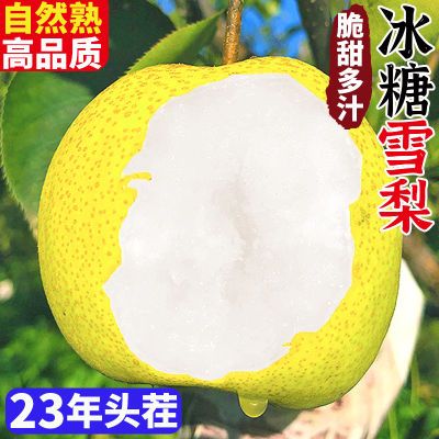 【补贴价】冰糖雪梨酥梨水果梨子新鲜应季鸭梨薄皮脆甜当季整箱