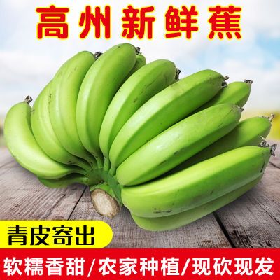广东新鲜青香蕉无催熟保鲜剂3/5斤非米蕉芭蕉10-30条单果80-250g