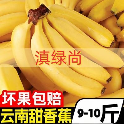 【爆甜】产地香蕉当季云南新鲜甜糯香蕉一整箱米蕉自然熟芭蕉薄皮