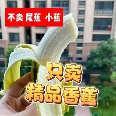 【首单立减】纯天然香蕉薄皮新鲜整箱当季香蕉新鲜水果