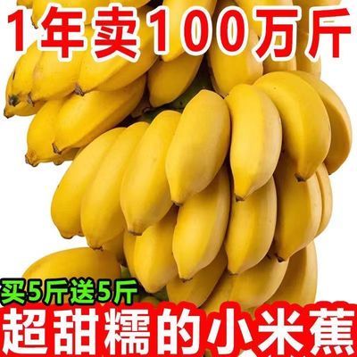 正宗广西小米蕉当季新鲜水果整箱自然熟小香蕉皇帝蕉芭蕉苹果批发